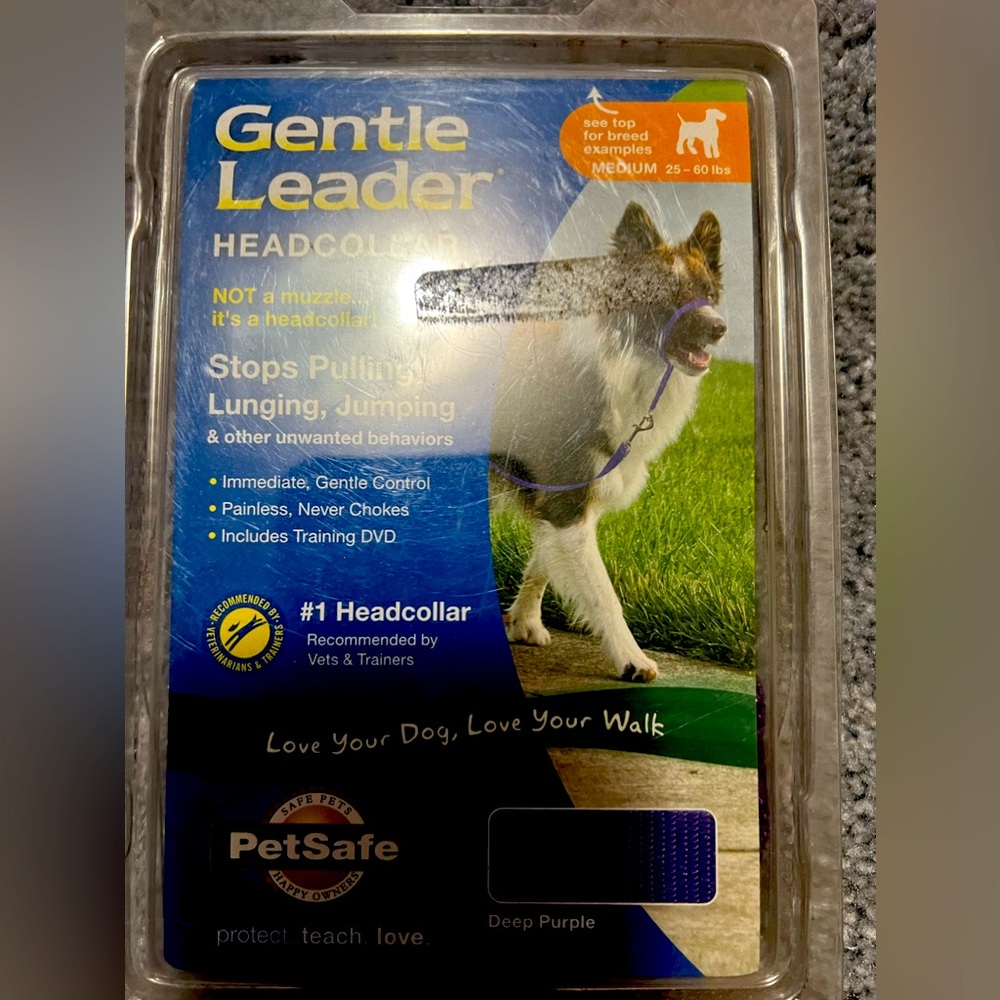 New / Holti for Dogs face